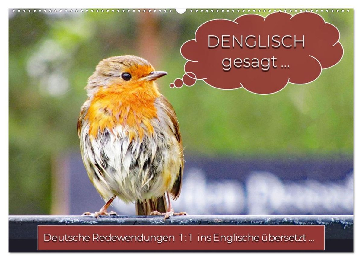 'DENGLISCH gesagt  (Wandkalender 2025 DIN A2 quer), CALVENDO 