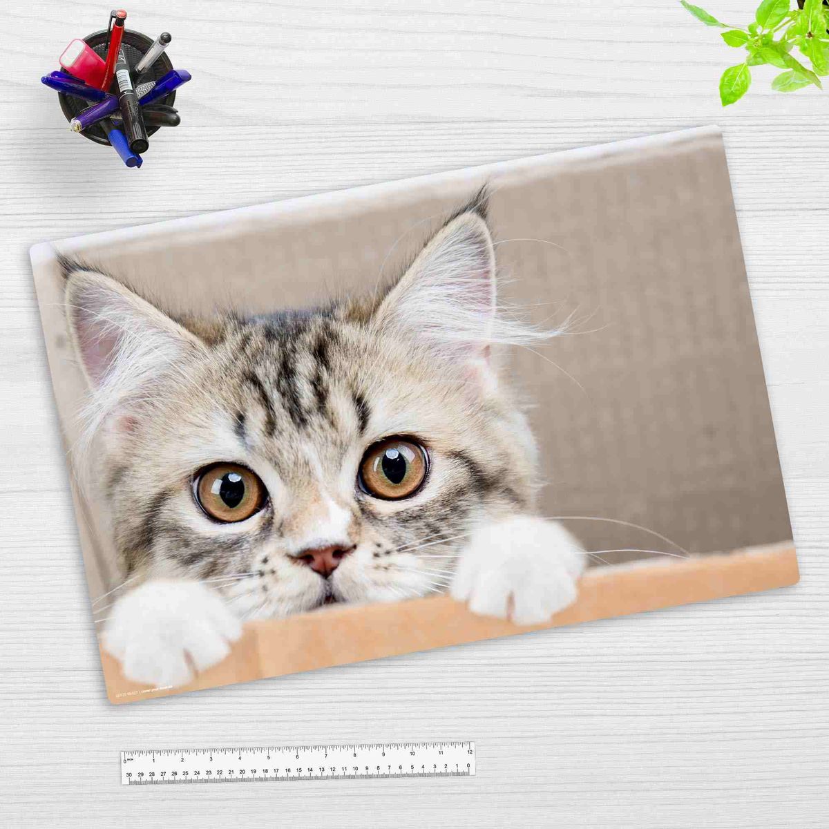 Coveryourdesk Schreibtischunterlage Vinyl Maine Coon Kätzchen, 60 x 40 cm
