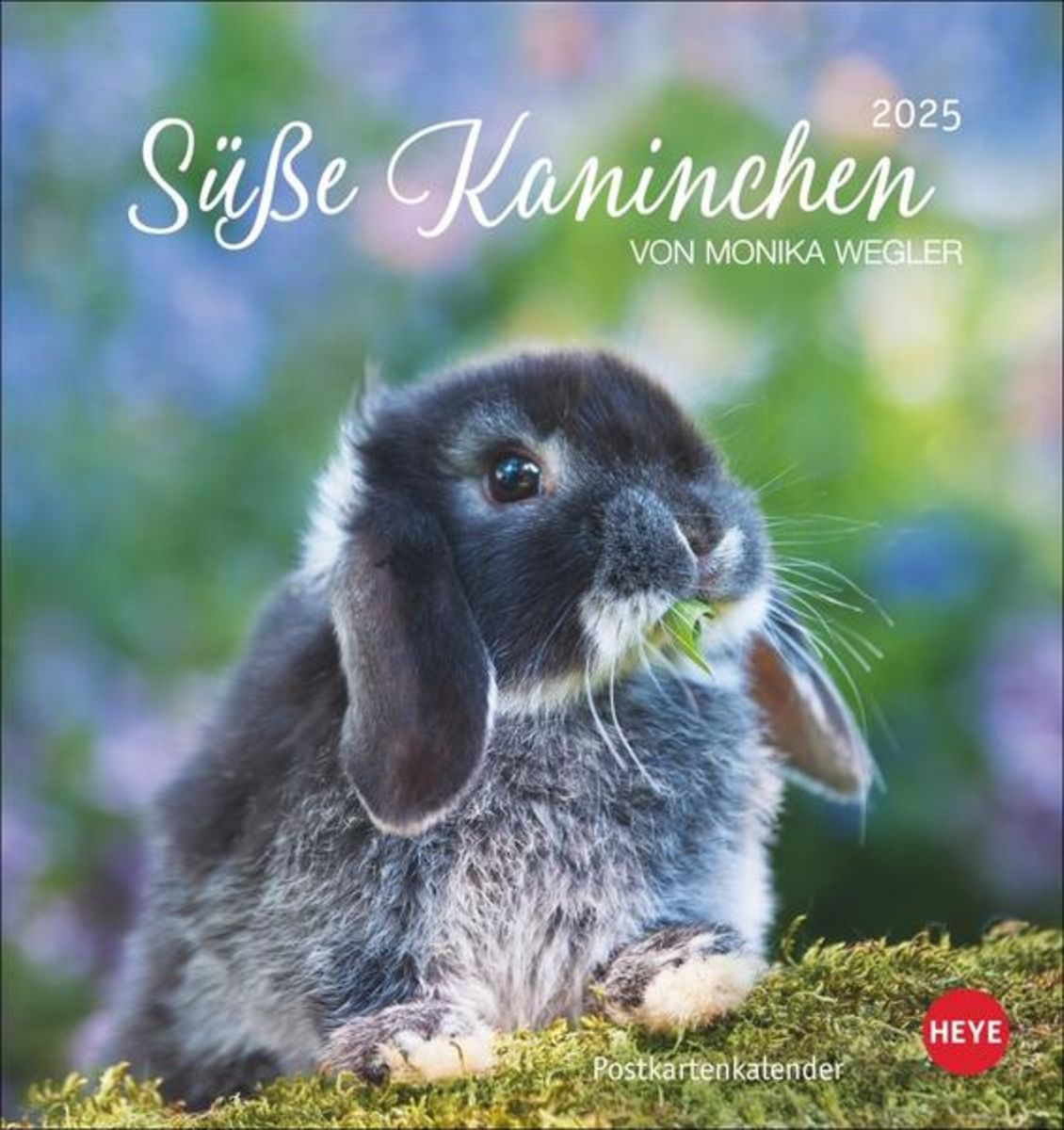 Süße Kaninchen Postkartenkalender 2025 Athesia Thalia