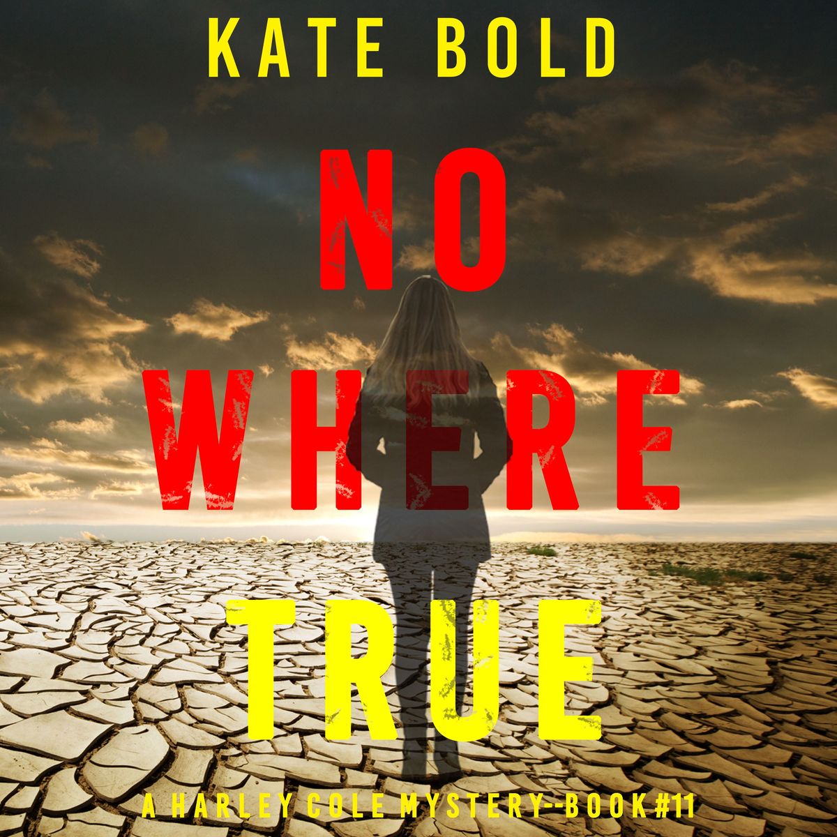 'Nowhere True (A Harley Cole FBI Suspense Thriller—Book 11)' Von 'Kate ...