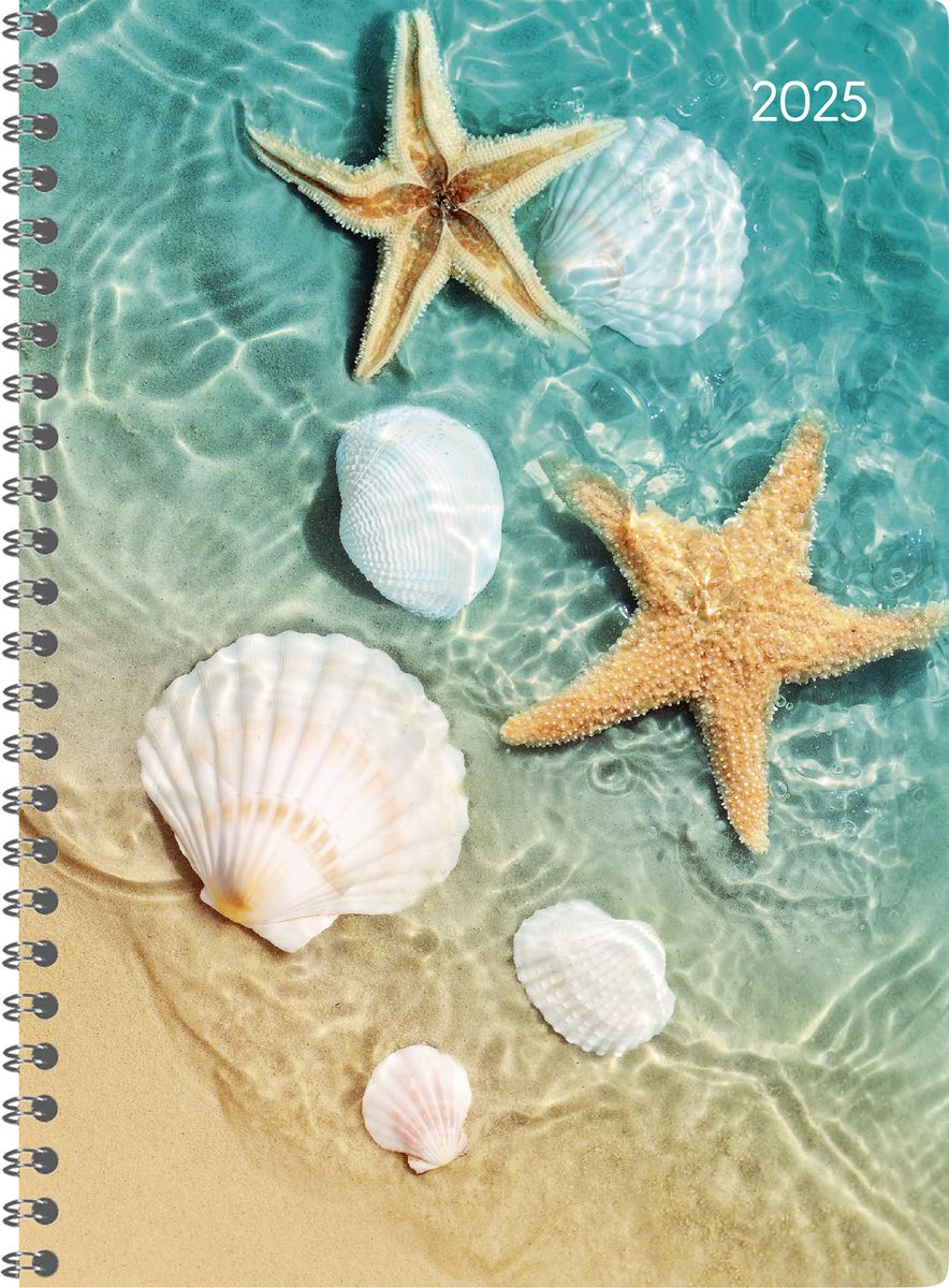 Ladytimer Ringbuch Beach 2025 TaschenKalender A5 (15x21 cm