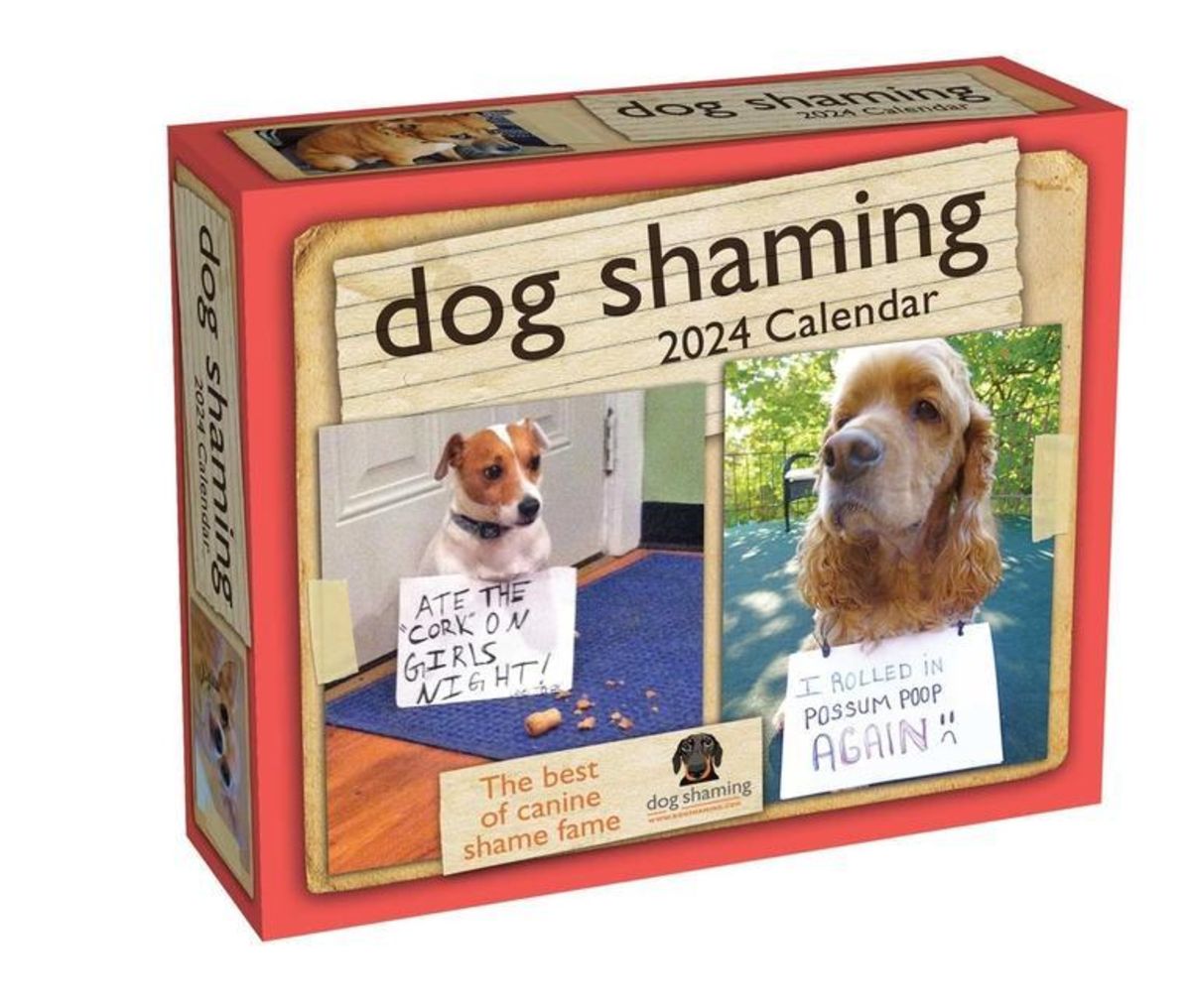 'Dog Shaming 2025 DayToDay Calendar' 'Cartoon & Humor'