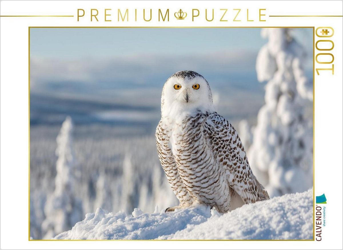 CALVENDO Puzzle Finnland – Winterszene In Lappland, 1000 Teile, 64 X 48 Cm, Premium-Qualität