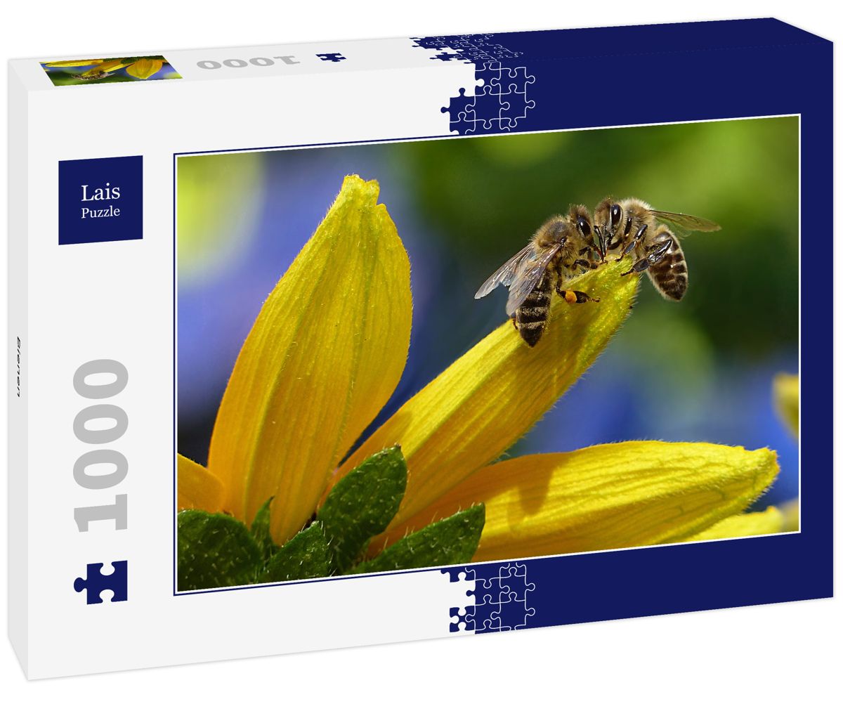 Lais Puzzle Binz Rügen 1000 Piezas