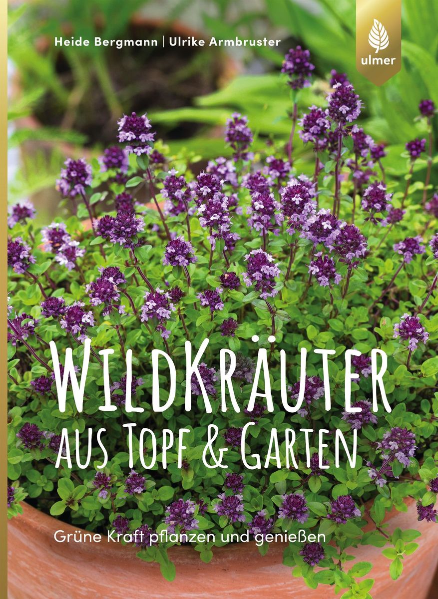 'Wildkräuter aus Topf und Garten' von 'Heide Bergmann' Buch '9783