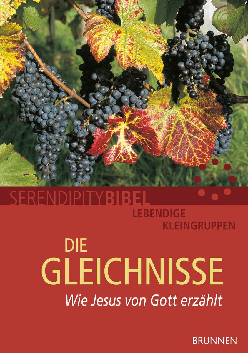 'Die Gleichnisse' von 'Serendipity bibel' Buch '9783765507816'