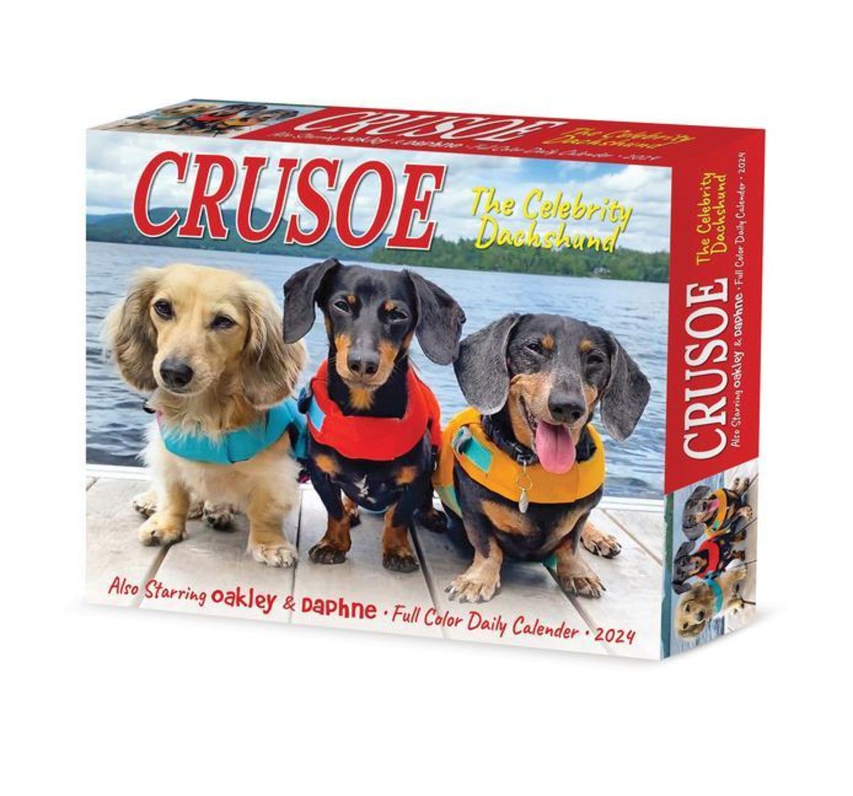 'Crusoe the Celebrity Dachshund 2024 6.2 X 5.4 Box Calendar' 'Cartoon