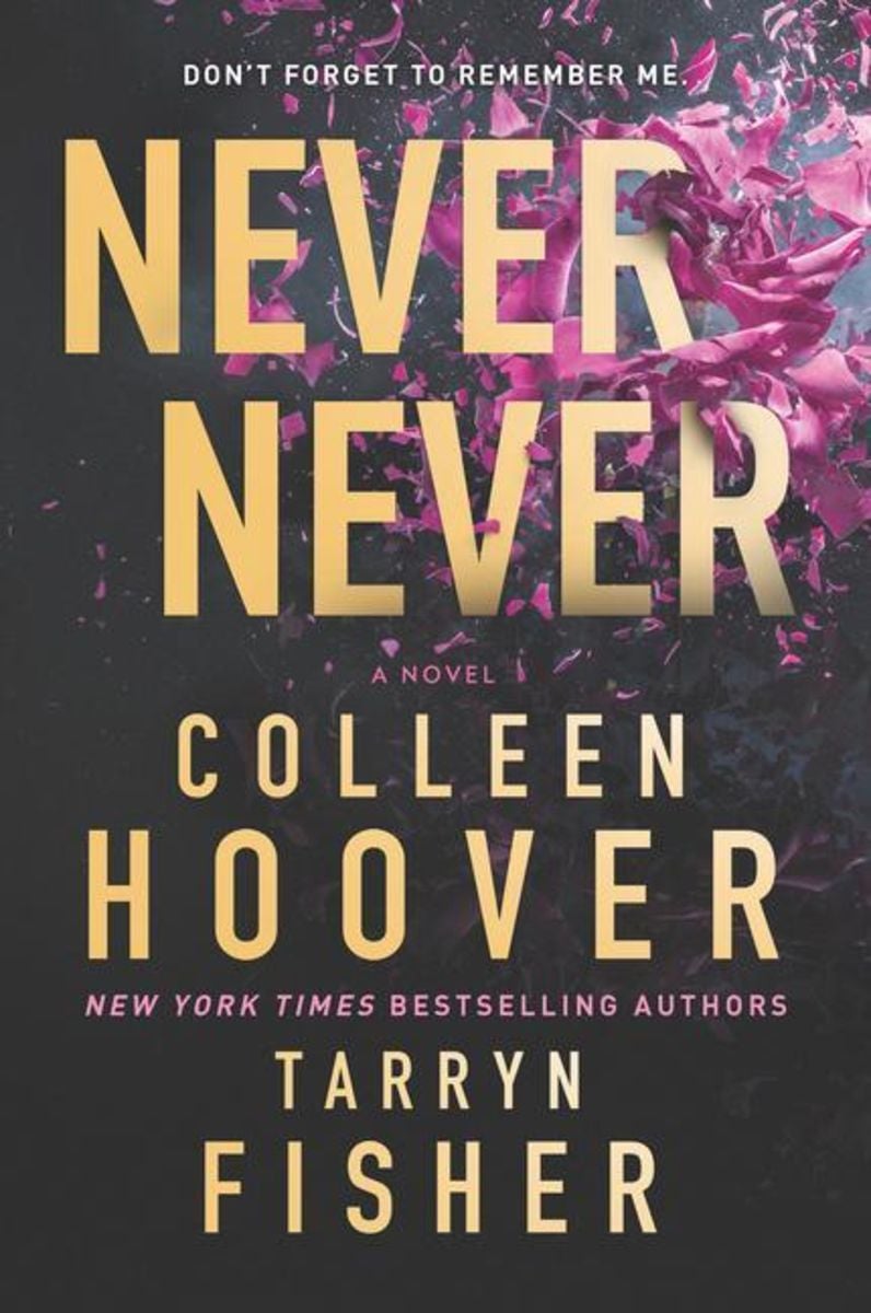  never never von colleen hoover gebundene ausgabe 