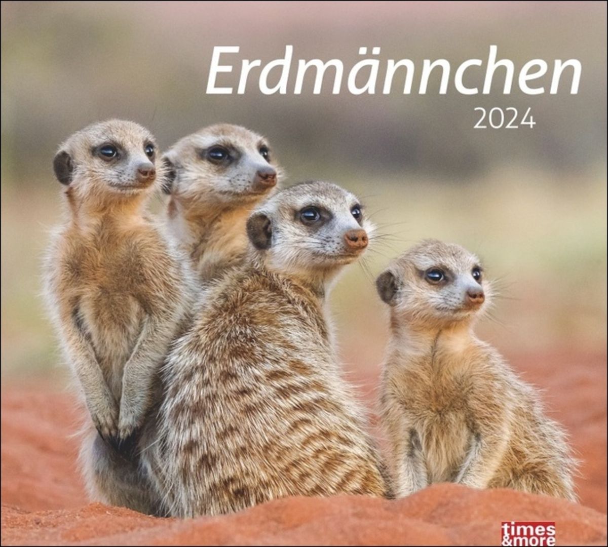 'Erdmännchen Bildkalender 2024. Die süßen neugierigen Tiere toll
