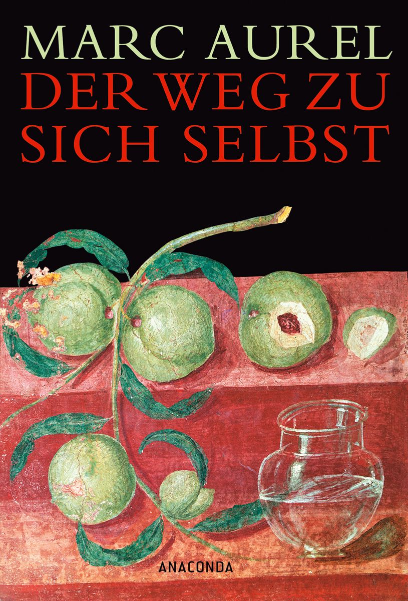 'Der Weg zu sich selbst' von 'Marc Aurel' Buch '9783866473102'