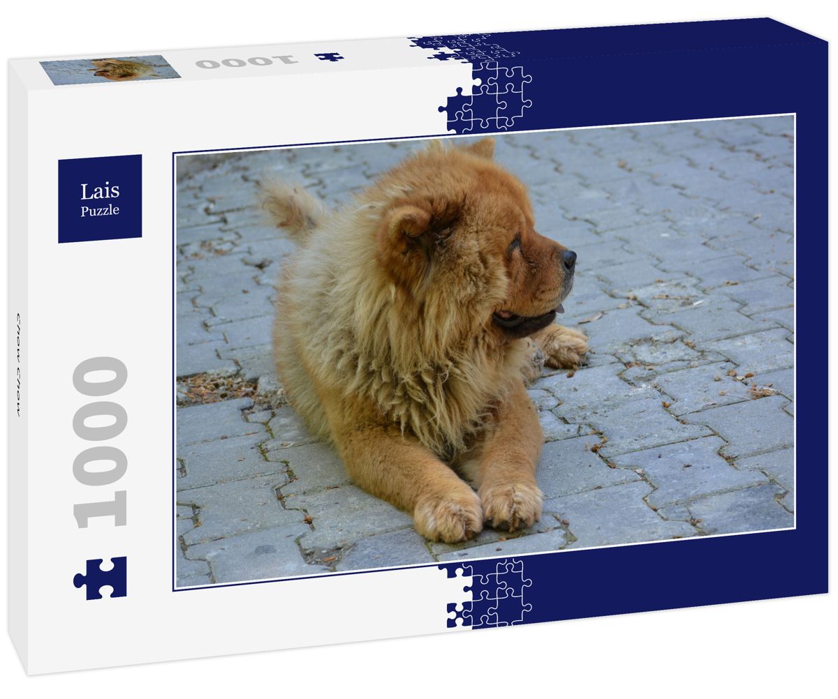 Lais Puzzle Löwe – 1000 Teile Herausforderung Für Puzzle-Fans