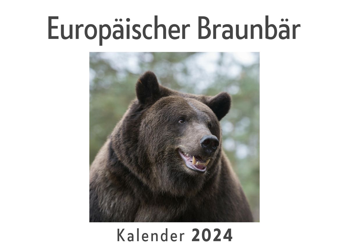 'Europäischer Braunbär (Wandkalender 2024, Kalender DIN A4 quer 