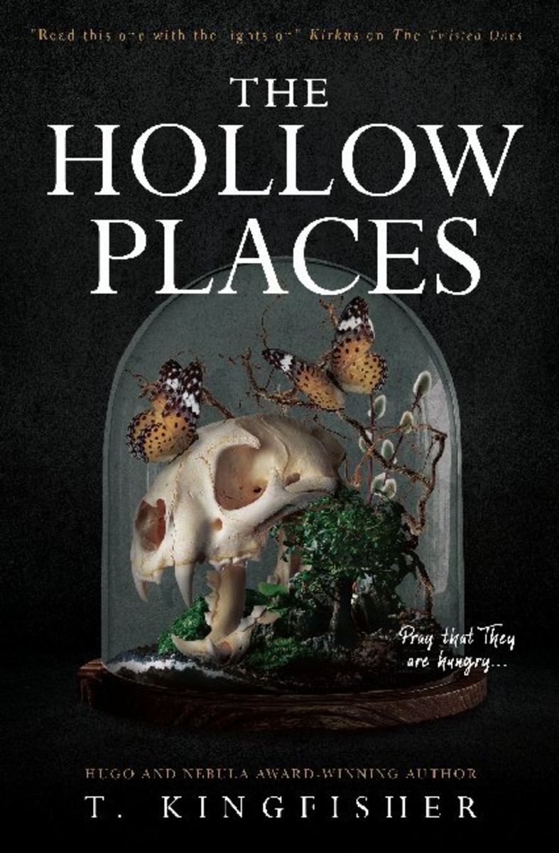 the hollow places by t kingfisher the hollow places by t kingfisher
