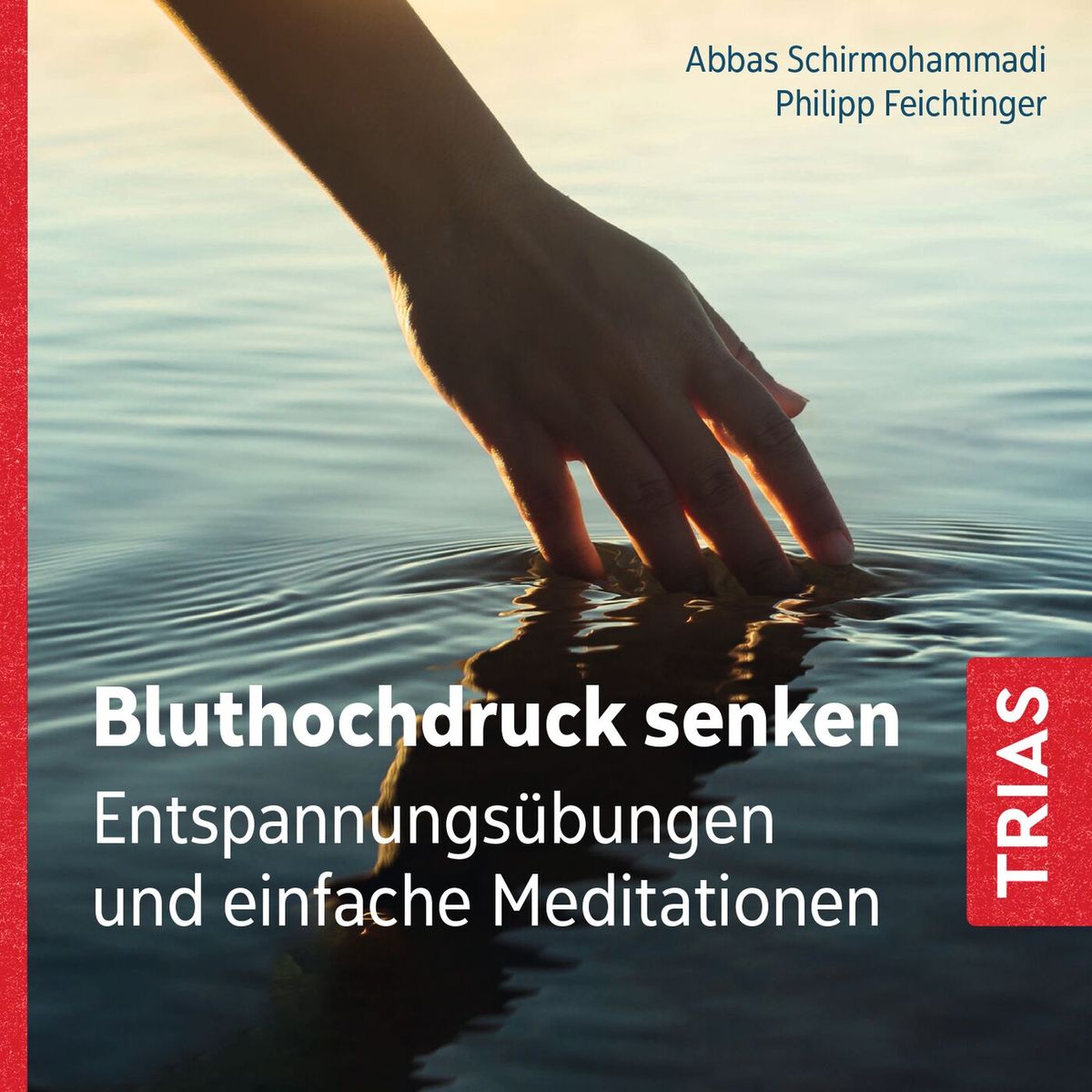 Bluthochdruck Senken Audio Cd Mit Booklet Von Abbas Schirmohammadi Hörbuch