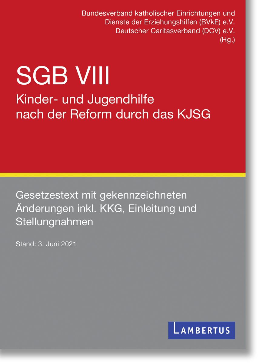 'SGB VIII - Kinder- Und Jugendhilfe Nach Der Reform Durch Das KJSG' Von ...