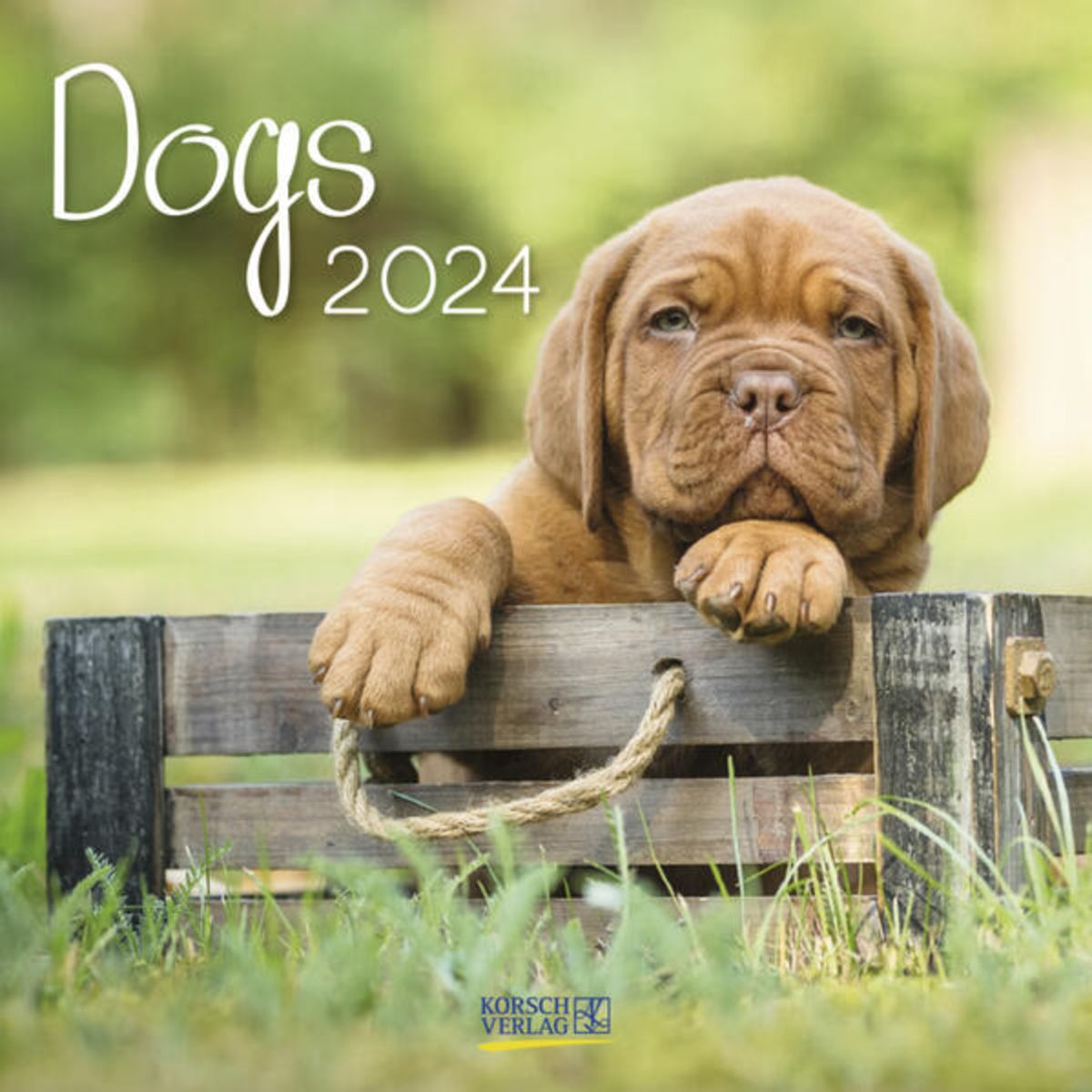 'Dogs 2024' 'Korsch