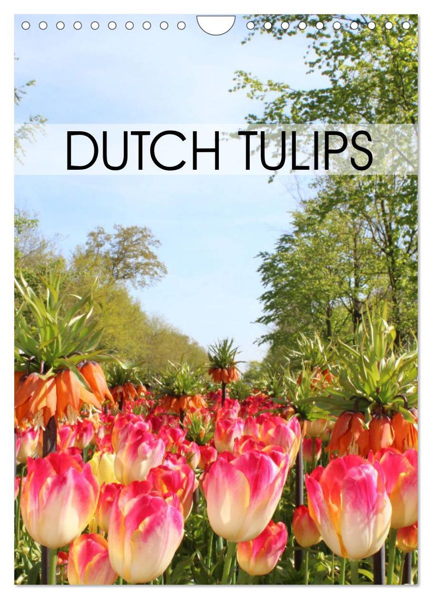 'Dutch Tulips (Wall Calendar 2024 DIN A4 portrait), CALVENDO 12 Month