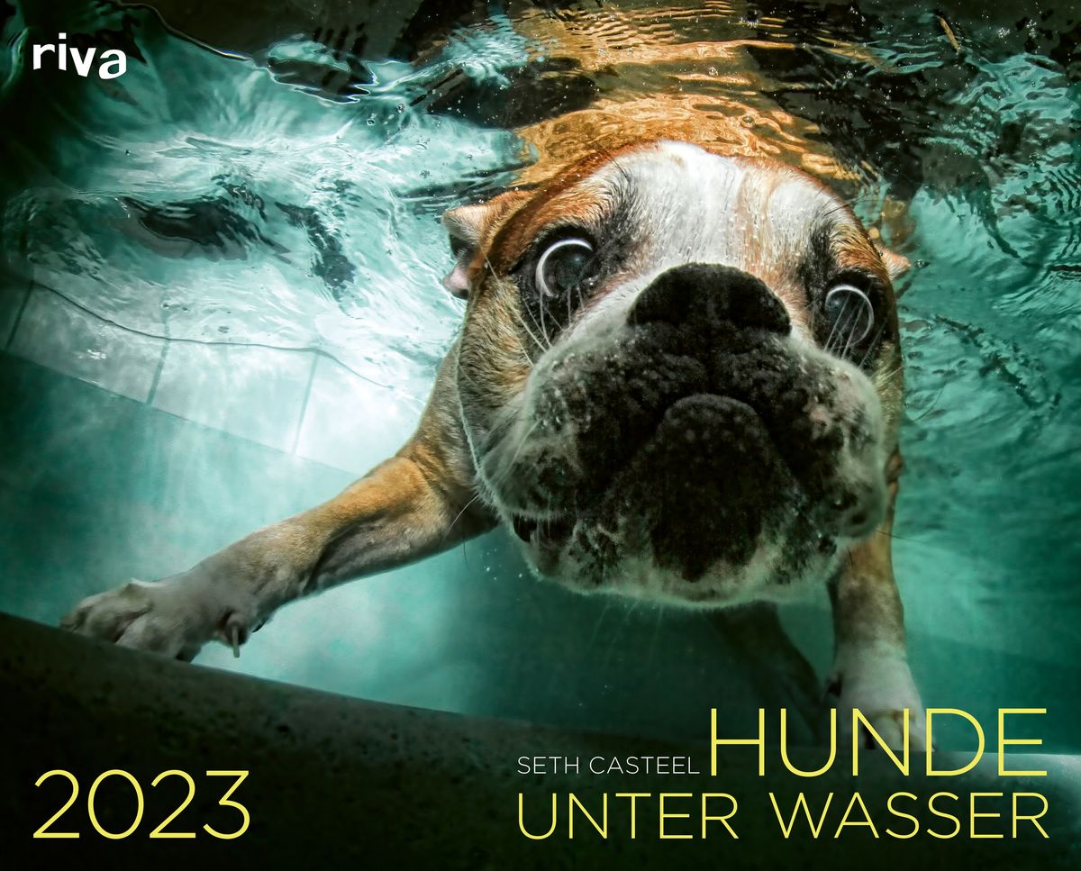 Hunde unter Wasser 2023 - Wandkalender  Thalia