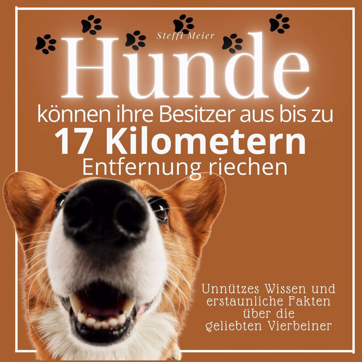 Hunde können ihre Besitzer aus bis zu 17 Kilometern Entfernung riechen von Steffi Meier Buch