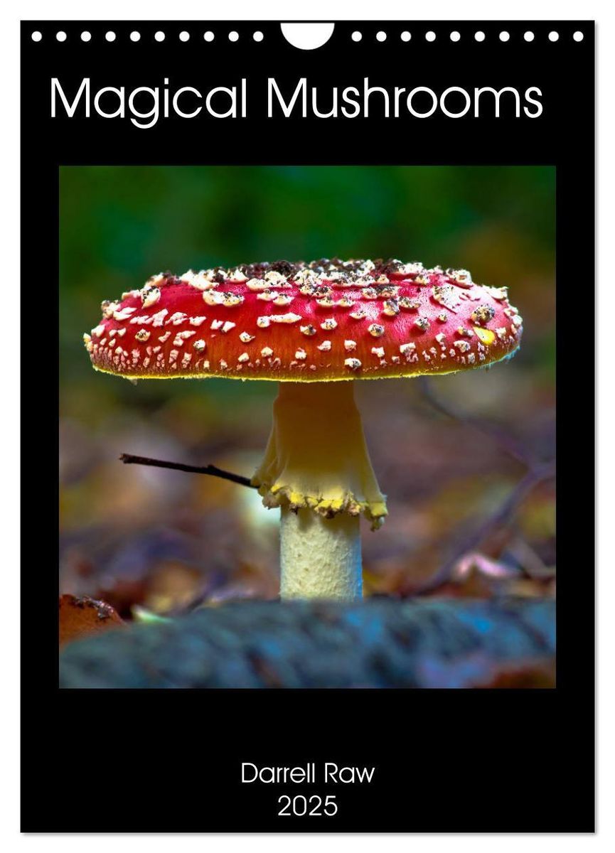 'Magical Mushrooms (Wall Calendar 2025 DIN A4 portrait), CALVENDO 12