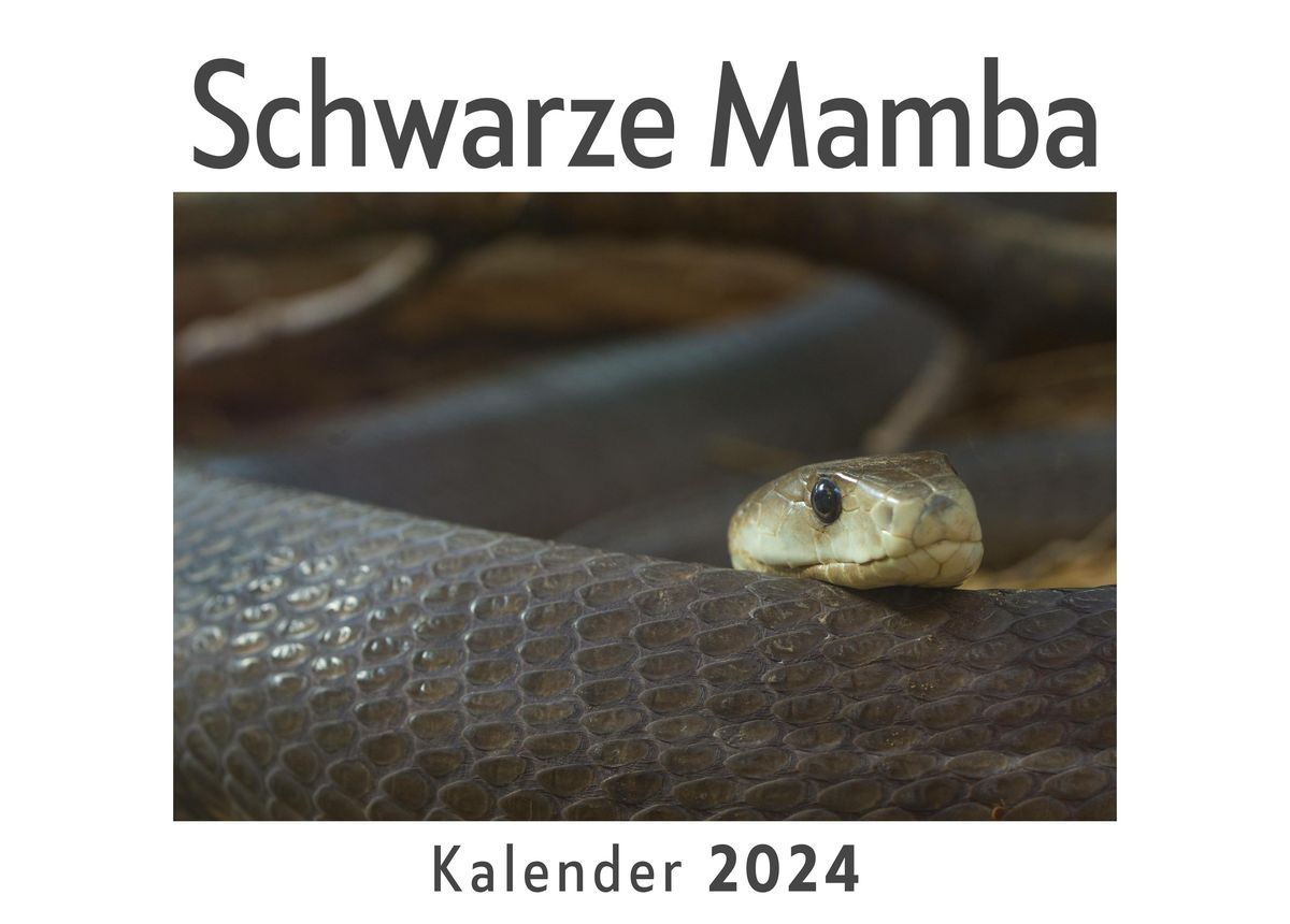 'Schwarze Mamba (Wandkalender 2024, Kalender DIN A4 quer