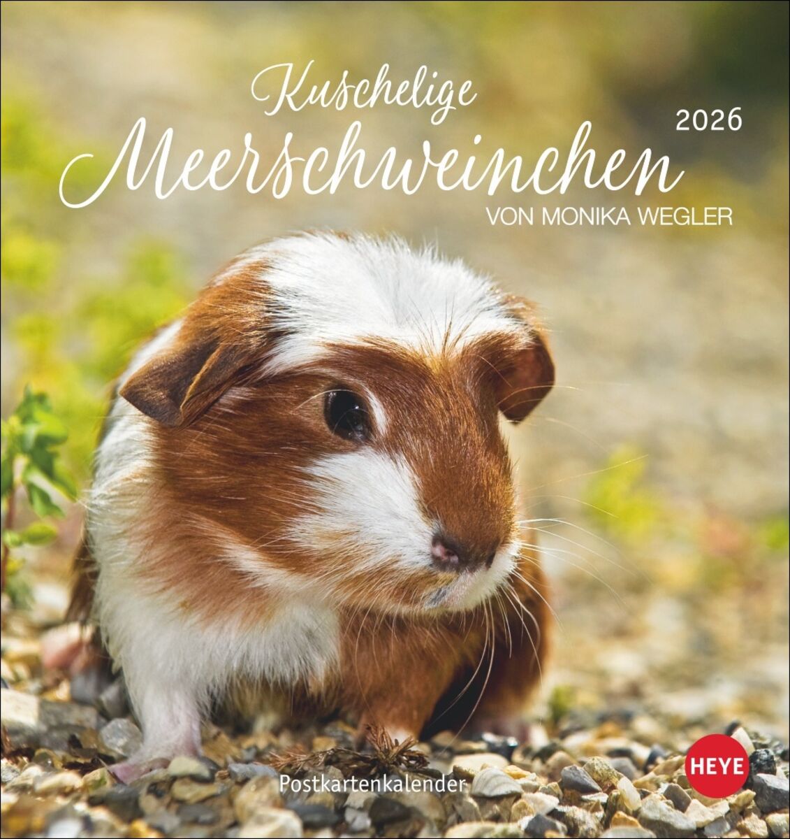 Wandtattoo Meerschweinchen – Niedlich & Fotorealistisch, 30x16 Cm
