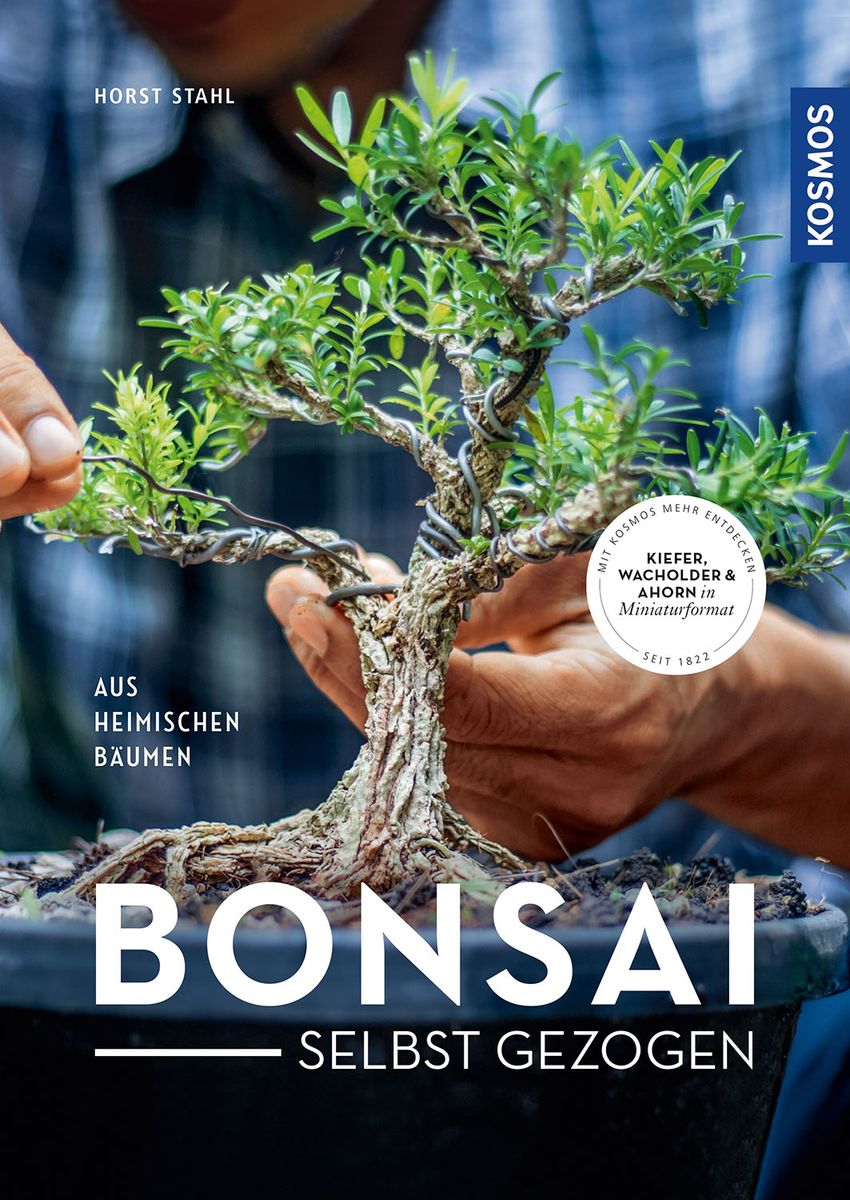 Bonsai selbst gezogen" online kaufen
