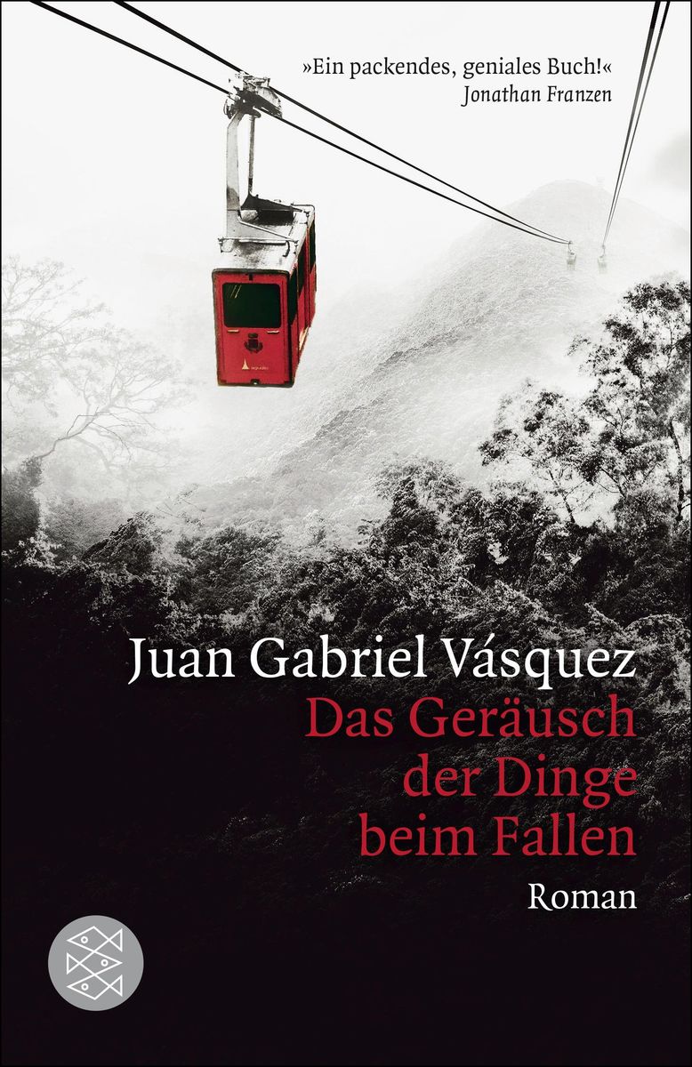 Das Geräusch Der Dinge Beim Fallen Von Juan Gabriel Vásquez - Buch | Thalia