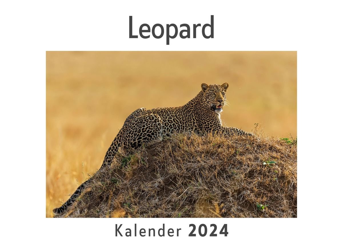 Leopard (Wandkalender 2024, Kalender DIN A4 quer, Monatskalender im