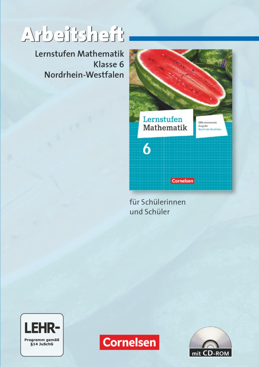 Lernstufen Mathematik 6. Schuljahr. Arbeitsheft Mit Eingelegten ...