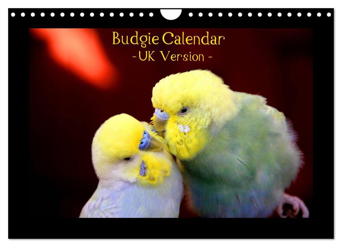 'Budgie Calendar UK Version (Wall Calendar 2024 DIN A4 landscape