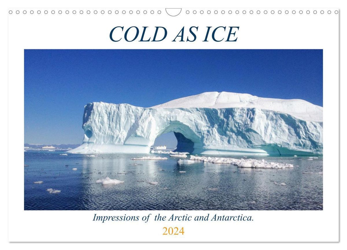 'Cold as Ice Impressions of the Arctic and Antarctica (Wall Calendar