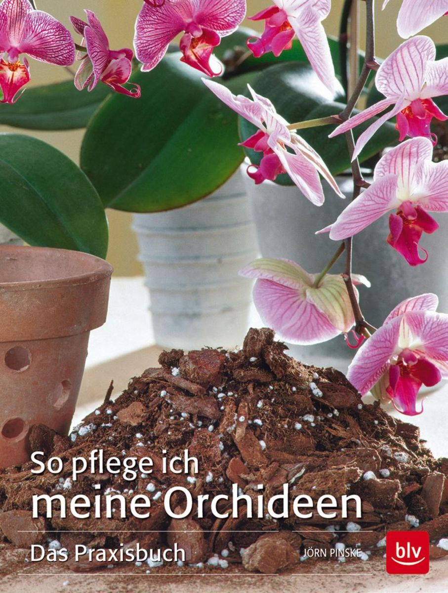 So Pflege Ich Meine Orchideen Von Jörn Pinske Buch 978 3 8354 1438 9 