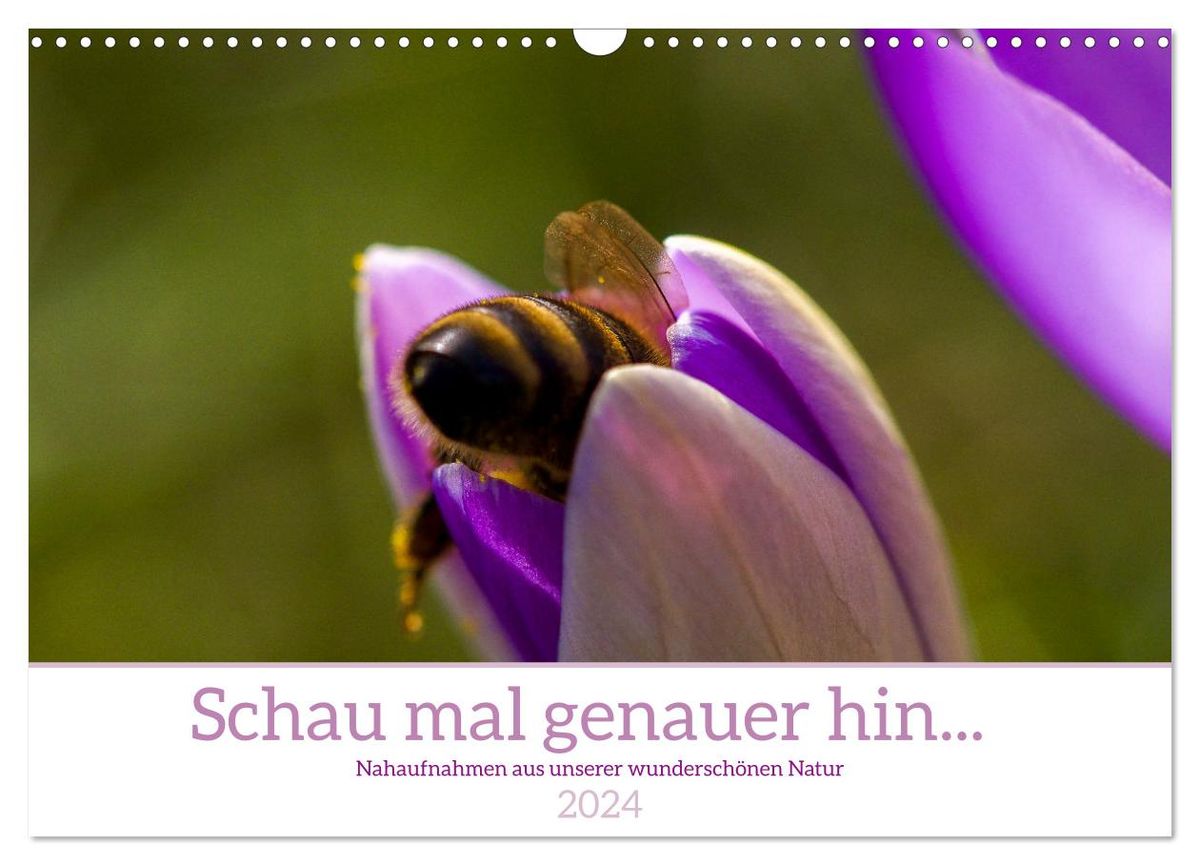 'Schau mal genauer hin Detailfotografie aus unserer wunderschönen