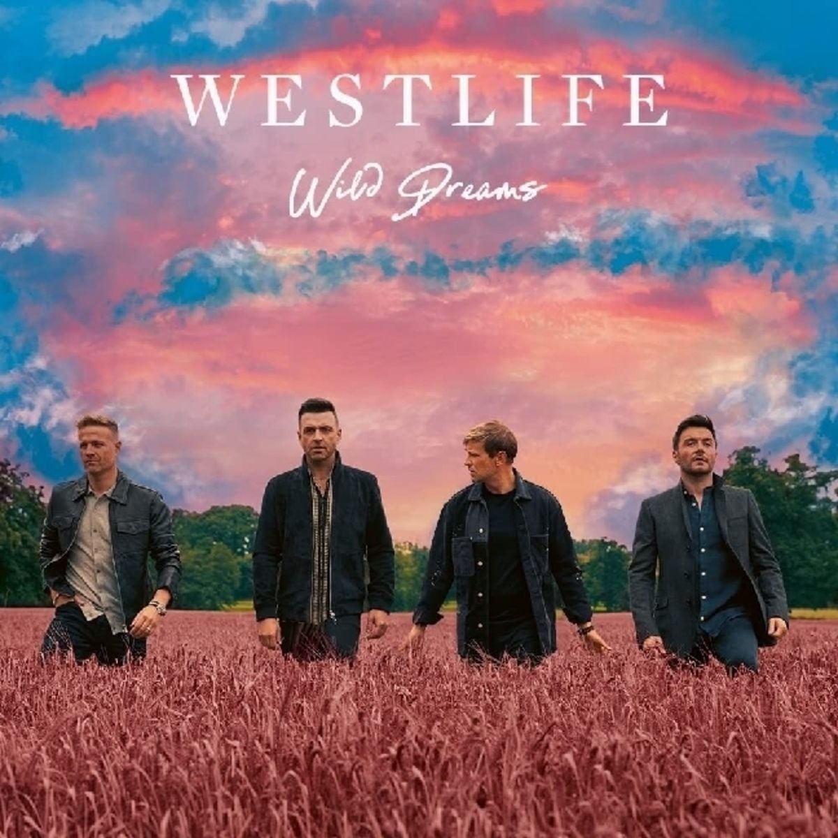 Wild Dreams (Deluxe Edition) von Westlife (CD) kaufen