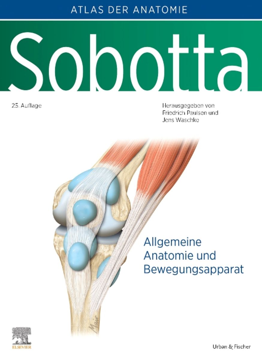 健康・医学 Sobotta Malbuch Anatomie Sobotta Malbuch Anatomie - Interdiscount