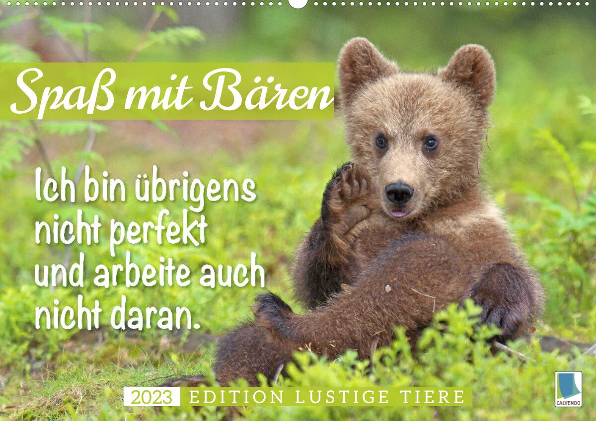 'Spaß mit Bären Edition lustige Tiere (Wandkalender 2023 DIN A2 quer
