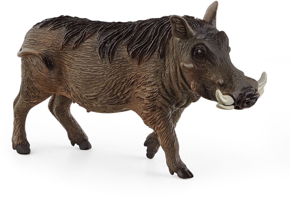 Schleich 14611 Warzenschwein Eber - Wild Life Figur, 9,8 Cm