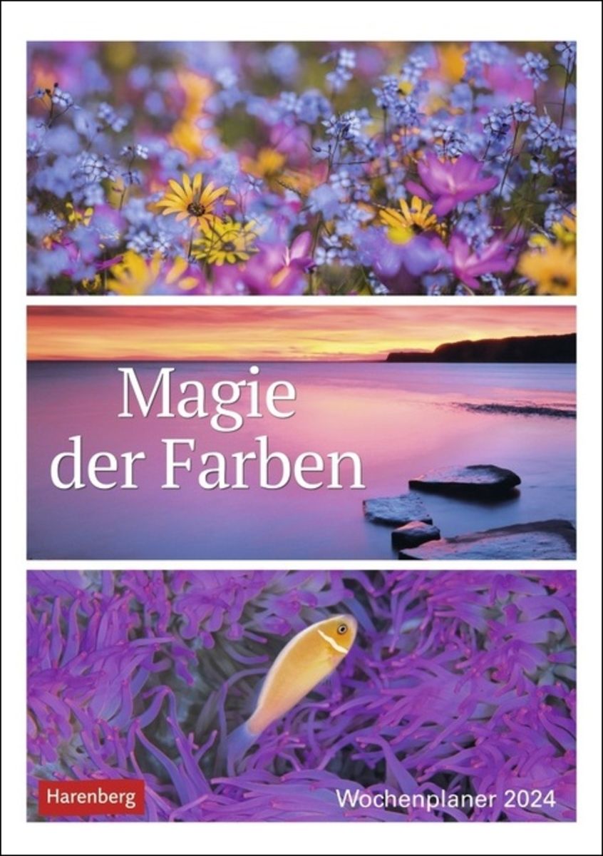 Die Magie der Farben: Ausmalbilder Kostenlos für Groß und Klein!