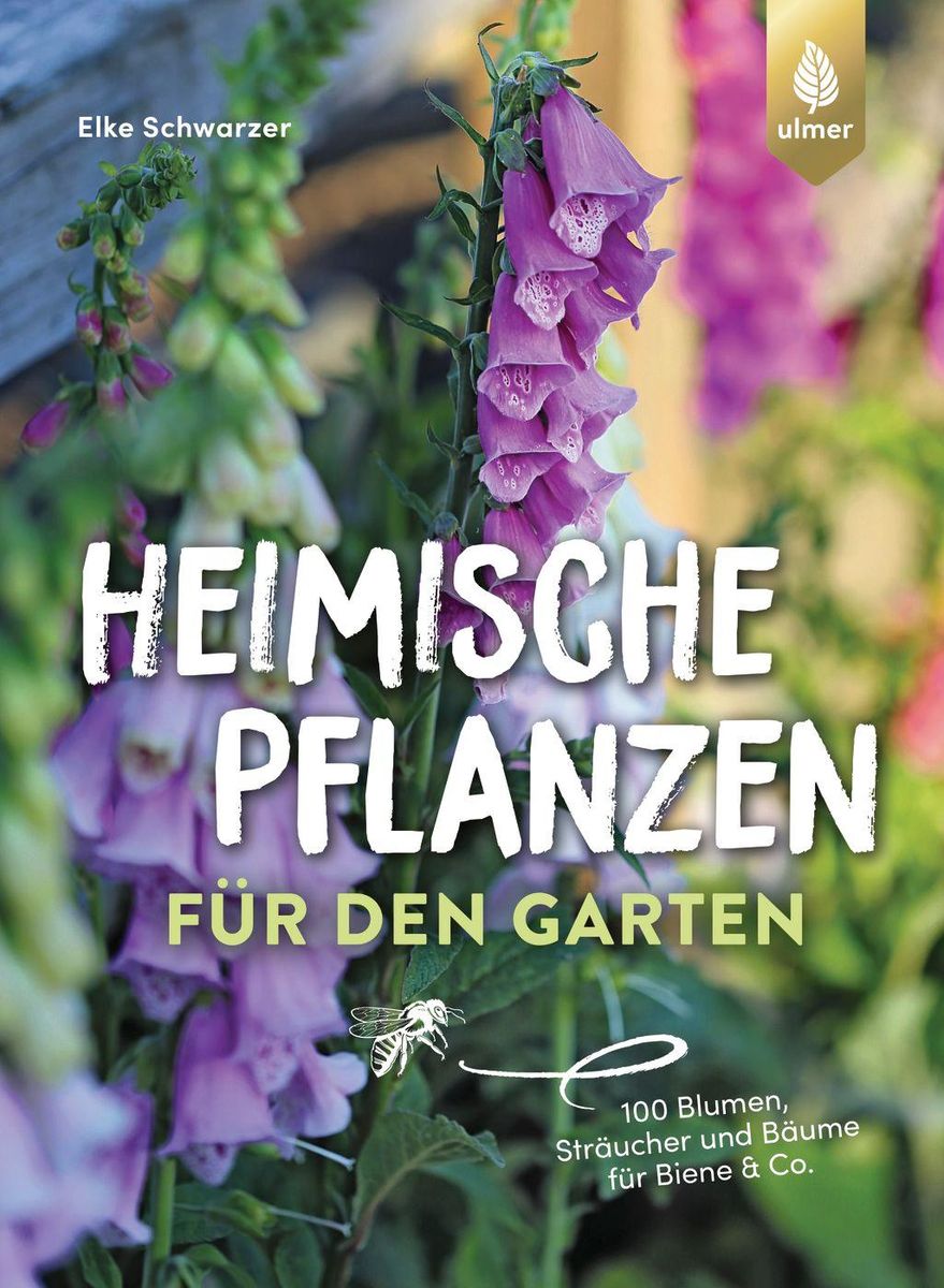 'Heimische Pflanzen für den Garten' von 'Elke Schwarzer' eBook