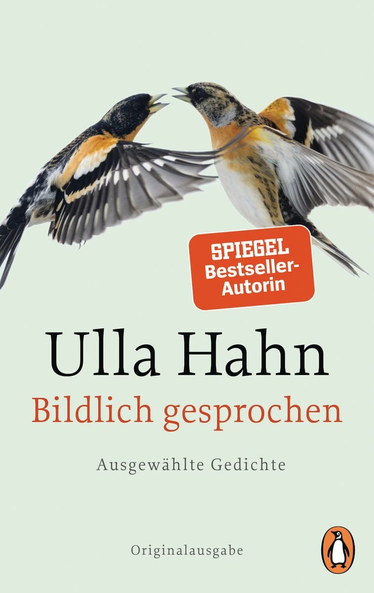 Bildlich Gesprochen Von Ulla Hahn