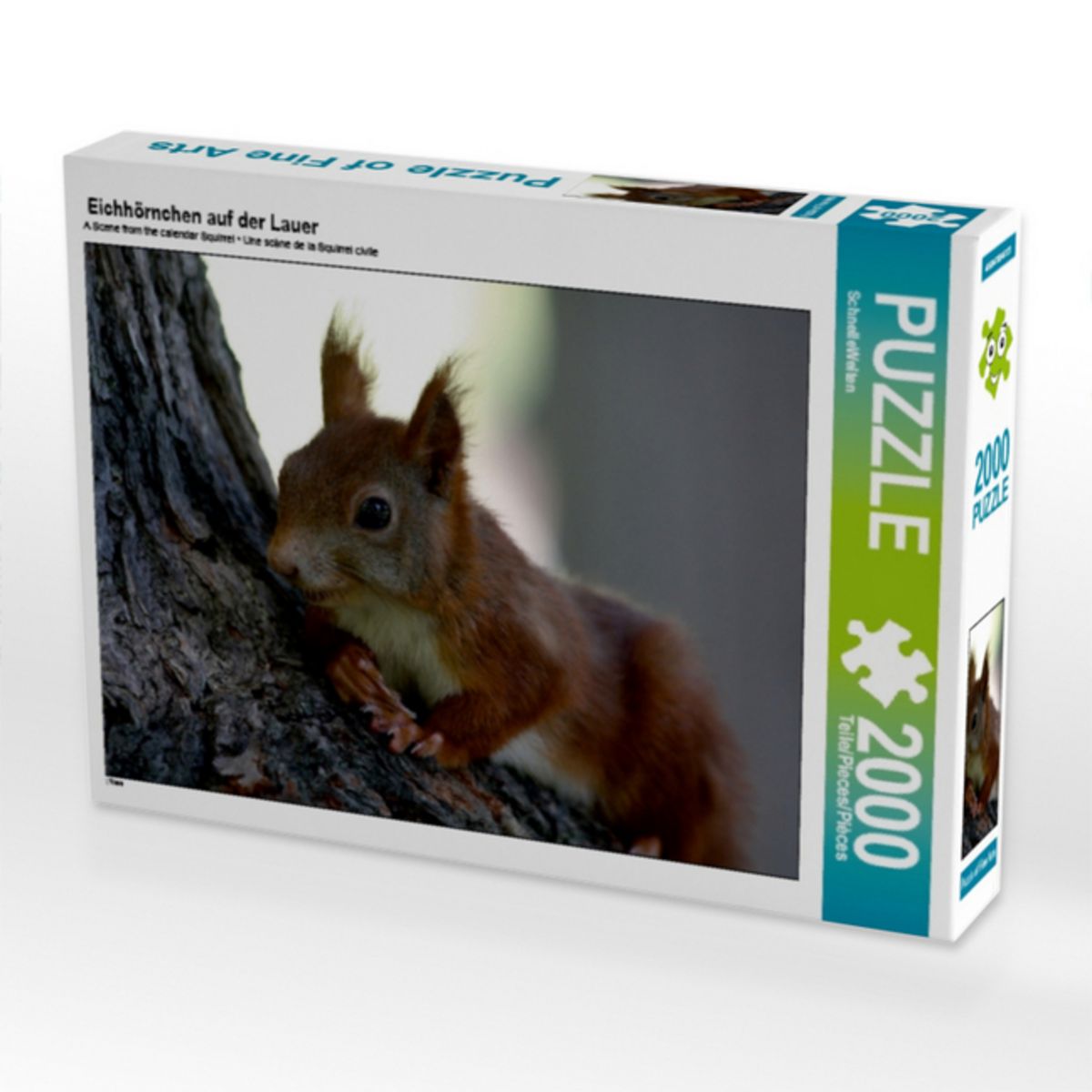 Puzzle Für Erwachsene 1000 Teile – Galaxien & Eichhörnchen Motiv, 67,5x67,5 Cm, Aus Recyceltem Karton, Inkl. Poster