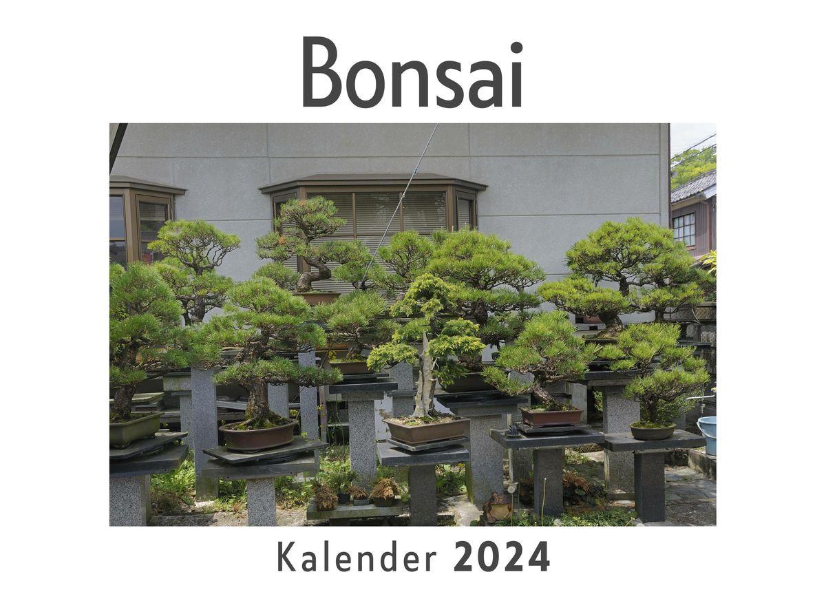 'Bonsai (Wandkalender 2024, Kalender DIN A4 quer, Monatskalender im Querformat mit Kalendarium