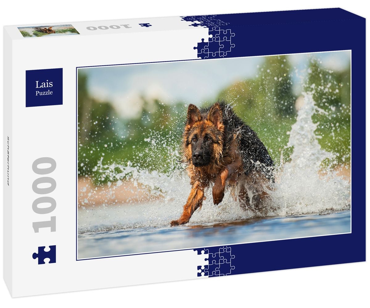 Lais Puzzle 1000 Teile – Dackel Motiv Mit Hochwertigen Teilen Und Stabiler Schachtel