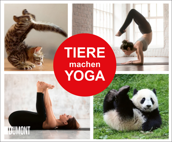 Produktbild Tiere machen Yoga