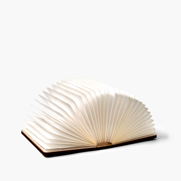 Produktbild Buchlampe 