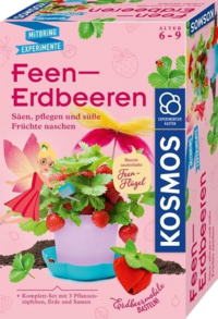 Produktbild Feen-Erdbeeren